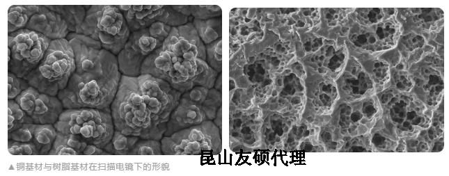 琼中蔡司琼中扫描电镜